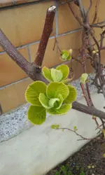 20120330_164828.webp