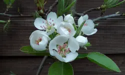 20120330_165024.webp