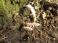 BILD0022.webp