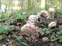 BILD0023.webp