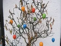 Bild 7214.webp