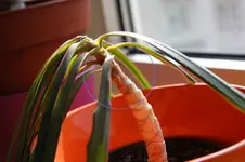 photo02.webp