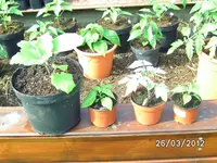 BILD0659.webp