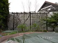 DSCI0006~1.webp