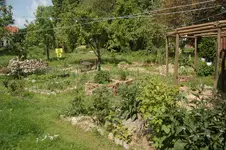 Garten Intschede (Kopie).webp