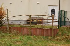 Kiwi-Gerüst (Kopie).webp