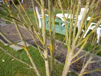 P1000209-1.webp