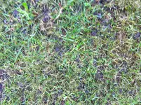 photo-6.webp