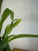 003.webp