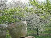 20050422_039.webp