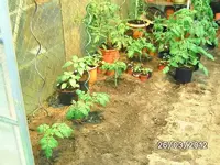 k-BILD0669.webp