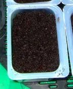 DSCF6941.2.webp
