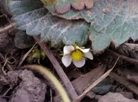 IMG_20120404_184137.webp