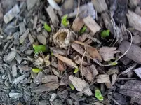 IMG_20120404_184807.webp