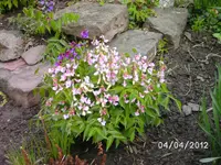 BILD0005.webp