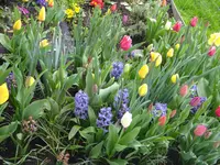 001.webp
