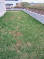 Rasen_Osten.webp