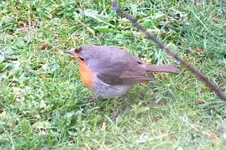 2012_0405rk.webp