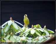 comp_DSC01033.webp
