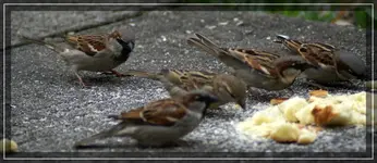 comp_DSC01042.webp