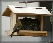 comp_DSC01050.webp