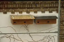 klein nestkasten für mauersegler.jpg