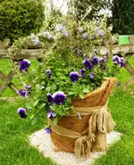 PRosmarin_komplett.webp