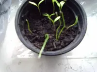 07042012357.webp