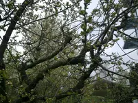 06042012189.webp