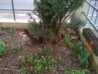 Nic025.3.12 010.webp
