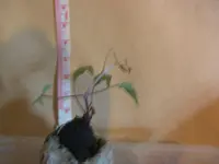 BILD0073.webp BILD0073.webp