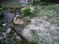 PIC00019.webp