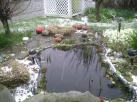PIC00020.webp