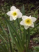 020.webp