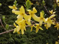 049.webp