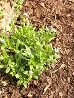 065.webp