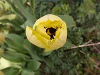 068.webp