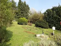 118.webp