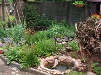 HPIM3620.webp