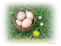 Copy (2) of Eierkorbchen (1) v.webp