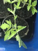 2012-04-08-021.webp