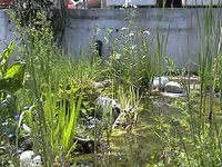 DSC0001j1.webp