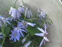 Bild008.webp