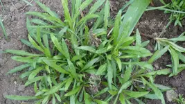P1020429.webp