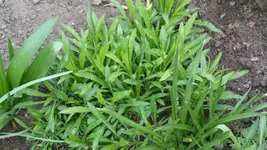 P1020430.webp