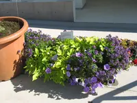 IMG_3073.webp