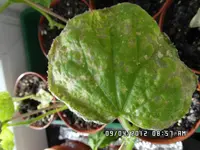 SAM_0735.webp