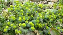 DSCN2028.webp