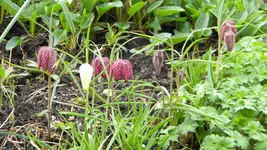 DSCN2025.webp