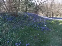 DSCF4135.webp